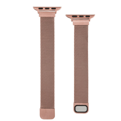 Bracelet de montre de rechange Milan à double section de petite taille pour la série Apple Watch, 7 45mm / 6 & SE & 5 & 4 44mm / 3 & 2 & 1 42mm, 7 41mm / 6 & SE & 5 & 4 40mm / 3 & 2 & 1 38mm