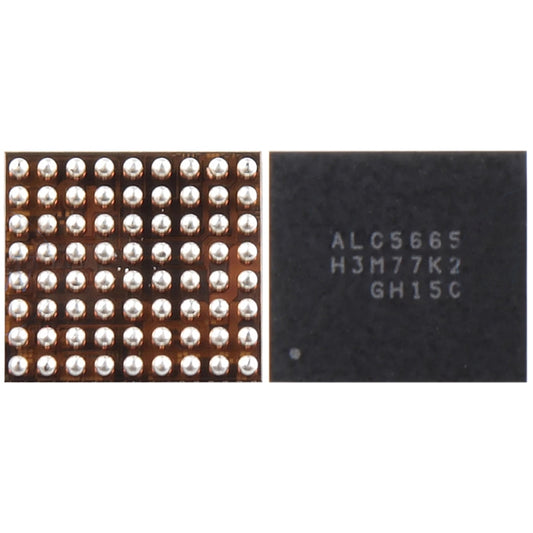 Module IC audio ALC5665