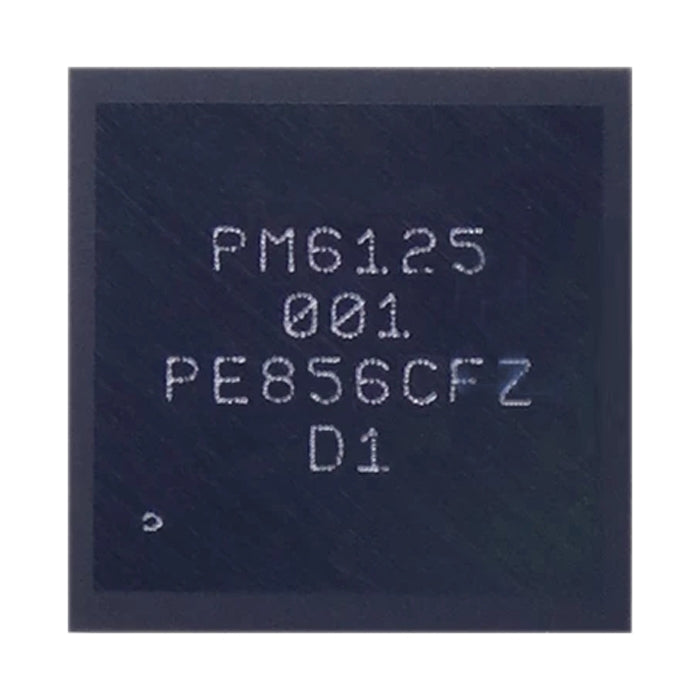 Module IC de puissance PM6125 001
