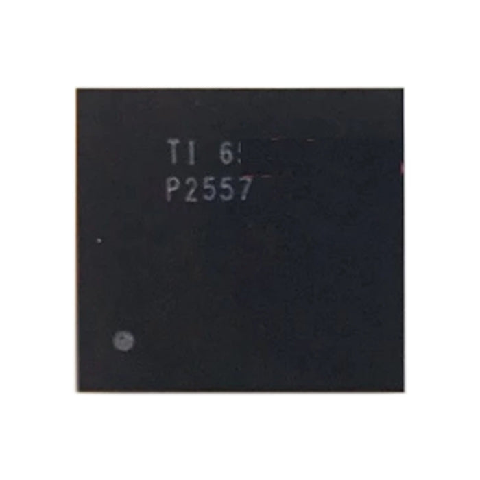 Module IC audio P2557