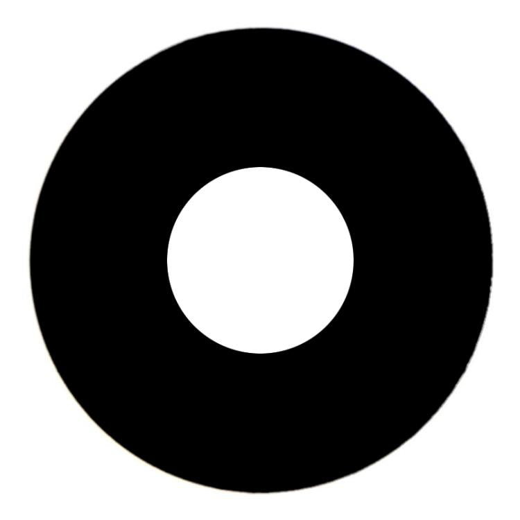 Objectif de la caméra arrière pour iPad mini 6 2021, For iPad mini 6 2021