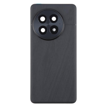 For OnePlus 13 CPH2655 CPH2653 PJZ110 Original Glass Battery Back Cover with Camera Lens