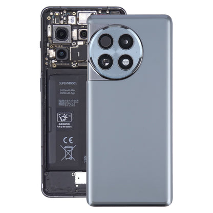 Pour OnePlus Ace 2 Pro PJA110 Cache arrière de batterie en verre d'origine avec objectif d'appareil photo