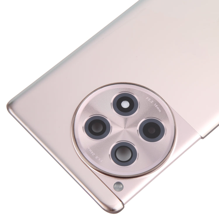 Pour OnePlus Ace 3 Cache arrière de la batterie avec cache de l'objectif de l'appareil photo