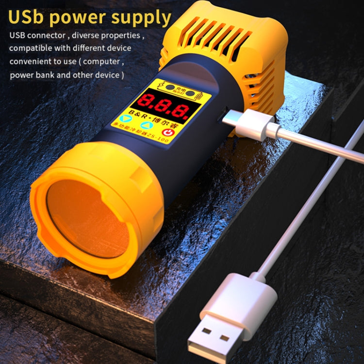 B&R ZS-100 Lampe à polymérisation UV 2 en 1 + Outil de réparation du refroidisseur de ventilateur